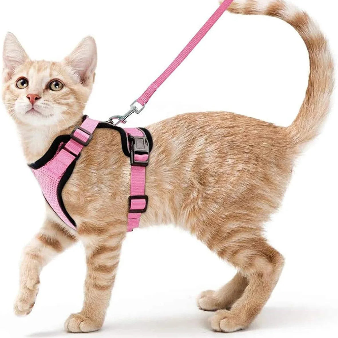 Escape Proof Cat Harness and Leash - Soft Adjustable Vest Harnesses EasyControl for Walking Cats
