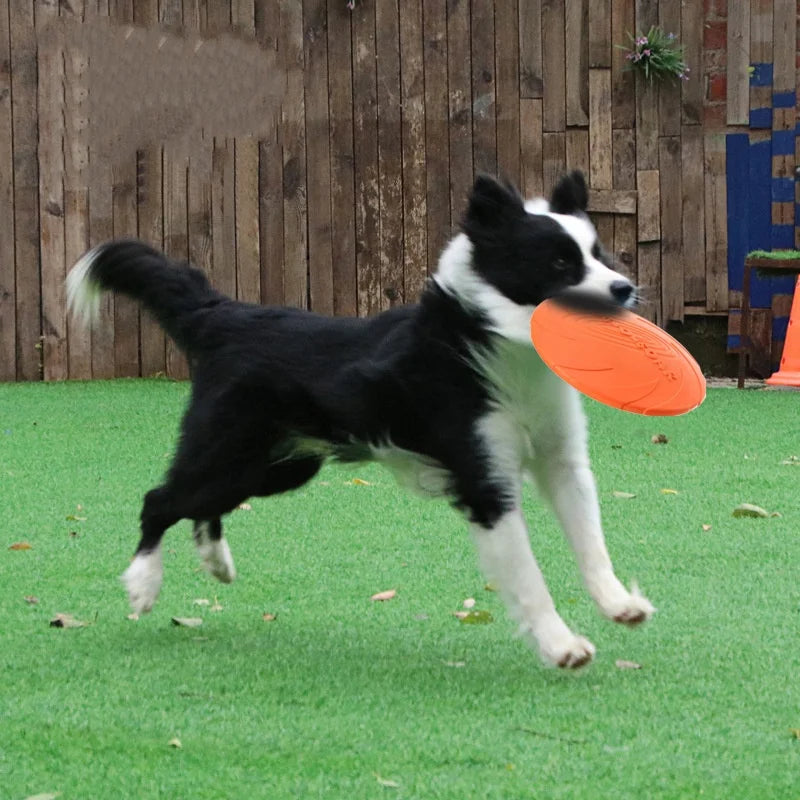 Silicone Flying Saucer Dog Toy Dog Game Flying Discs Resistant Chew Puppy Training Interactive Pet Supplies