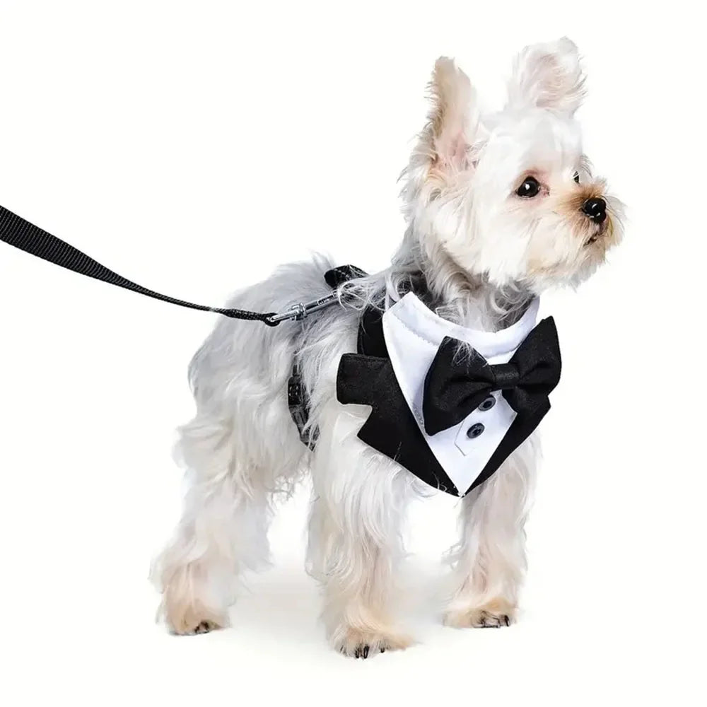 Dog Tuxedo Harness Adjustable Dog Harness No Pull for Small Medium Large Dogs Male Dogs Wedding Suit with Bow Tie Party Costume