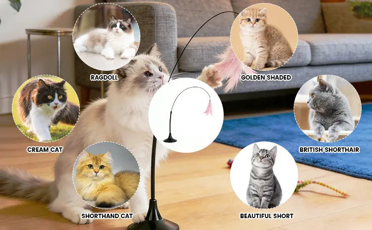 Cat Teaser Stick | Feather Rotating Funny | Steel Wire Long Pole | Self-Pleasure Interactive | Boredom Relief Toy For Cat Kitten