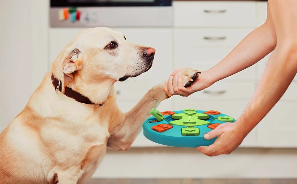 Dog Puzzle Toy Slow Feeder For IQ Training & Mental Enrichment