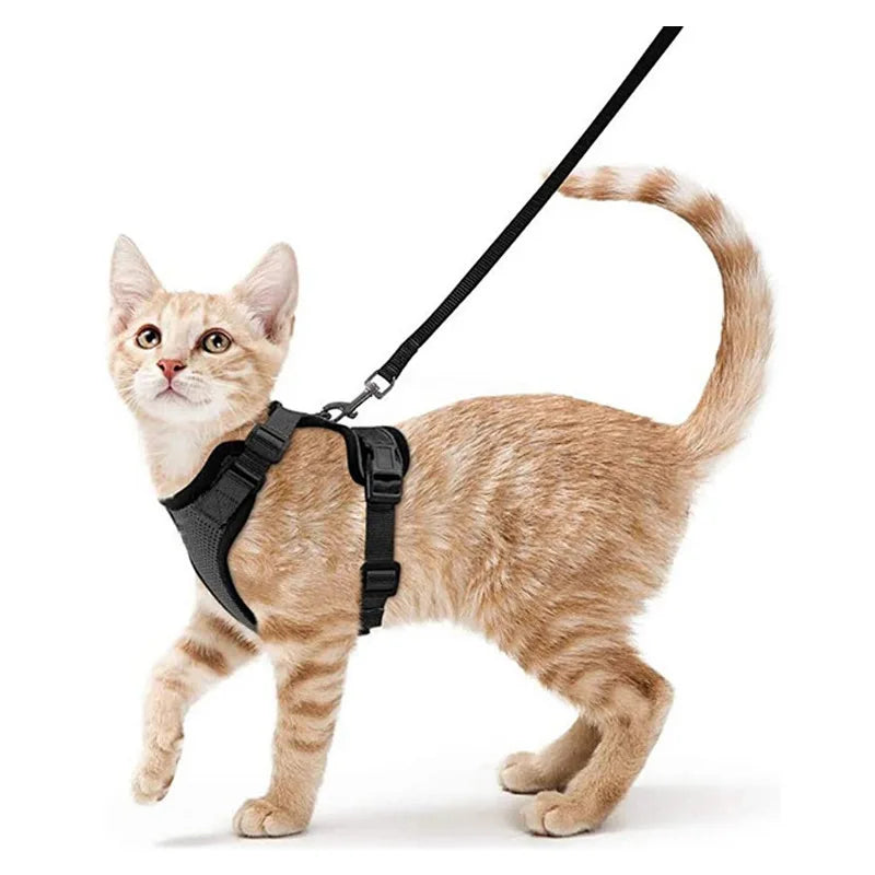 Escape Proof Cat Harness and Leash - Soft Adjustable Vest Harnesses EasyControl for Walking Cats