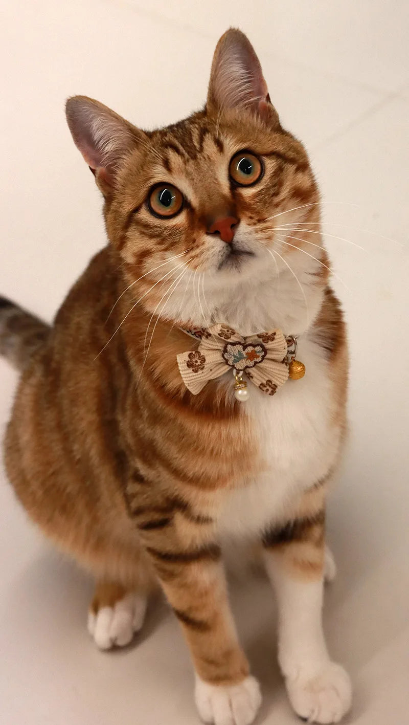 Breakaway Cat Collar, Bowknot Adjustable Kitten Collar with Bell, Lightweight Pet Safety Collar, Pet collars for Cats & Puppy
