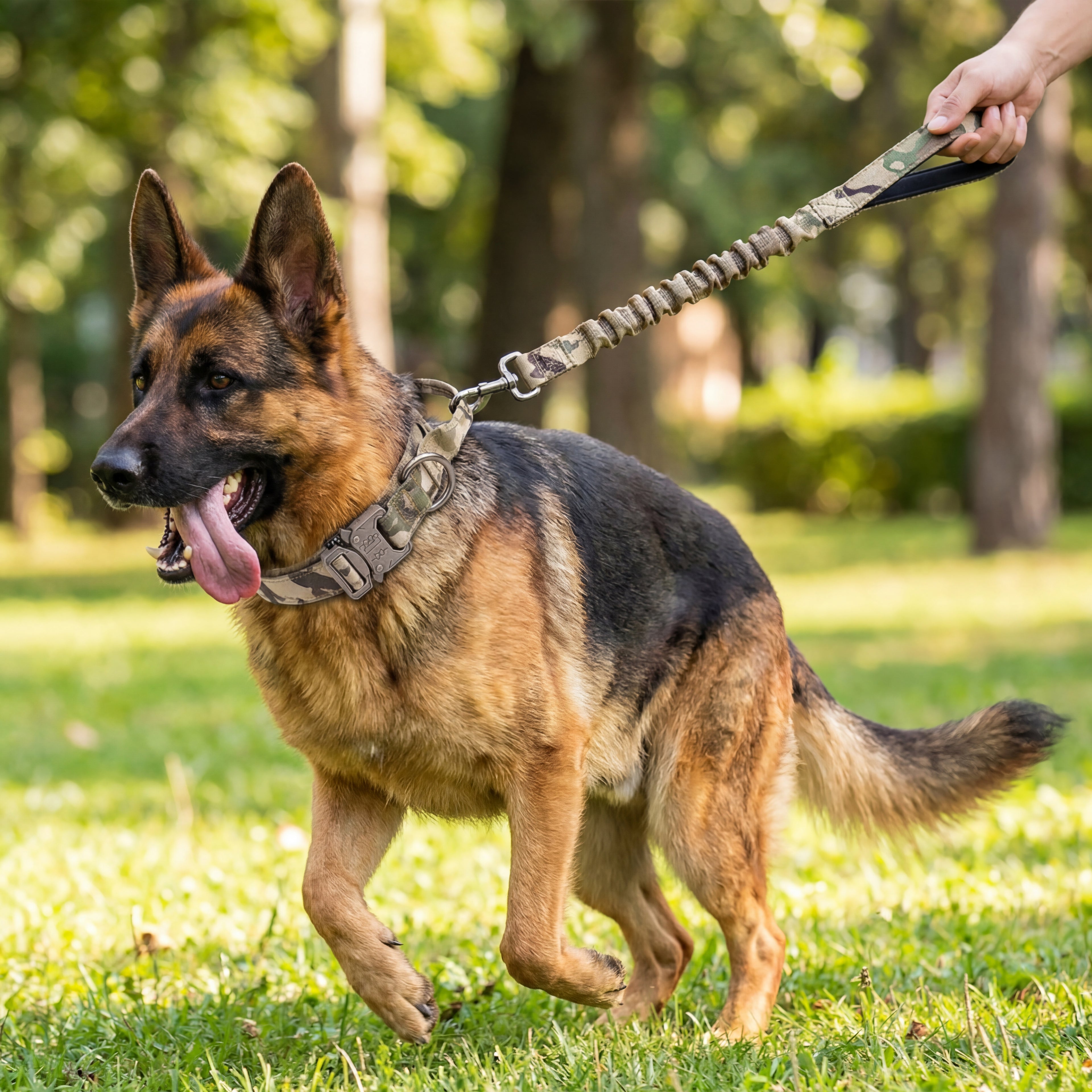 Pet Dog Collar Leash Set Nylon Material Durable Dog Collar Reflective Leash Pet Tactical Training Dog Collar Large Dog Leash Set